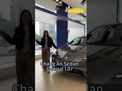 Changan Deepal L 07