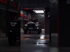 385Nm 185KW 252Ps 4WD 5 sièges 5 portes 2.0T réservoir 400 SUV essence carburant voiture neuve