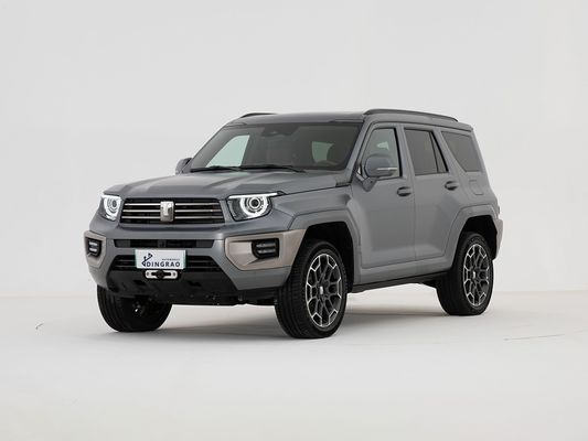 5 Seat 5 Door  3.0T Tank 700 SUV 800Nm 385Kw 163Ps 4WD New Energy Electric Vehicle Hybrid EV Gasoline Petrol Fuel New Car